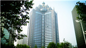 洛陽(yáng)開(kāi)元礦業(yè)集團(tuán)有限公司，始成立于2006年，主營(yíng)業(yè)務(wù)涵蓋礦產(chǎn)品貿(mào)易、礦山開(kāi)發(fā)、酒店服務(wù)、房地產(chǎn)開(kāi)發(fā)和金融投資等，集團(tuán)位于洛陽(yáng)市開(kāi)元大道世貿(mào)中心；中國(guó)民主建國(guó)會(huì)會(huì)員、青年企業(yè)家許明月先生是公司創(chuàng)始人和實(shí)際控制人，目前任洛陽(yáng)開(kāi)元礦業(yè)集團(tuán)有限公司董事長(zhǎng)兼總經(jīng)理。
